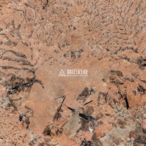 Four Seasons||黃金四季