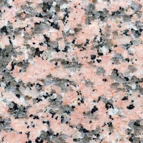 Huidong Red ||惠東紅