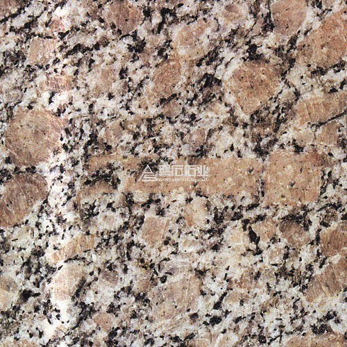 Zhaoyuan Pearl Flower||招遠(yuǎn)珍珠花