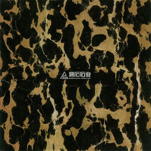 Elegant Gold ||雅倫金