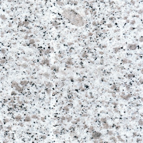 Shandong White Pearl || 山東白麻