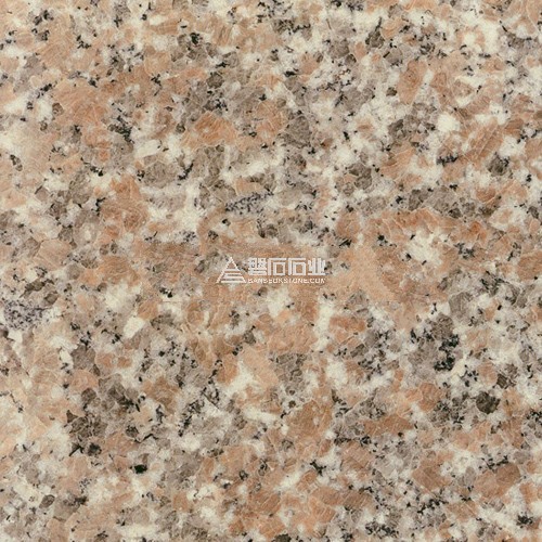 Red jieyang|| 揭陽紅