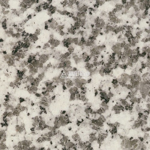 White Coarse Grian Puning ||普寧大花白