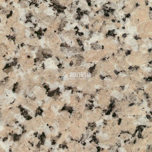 Casle Red|| 三堡紅(G563)