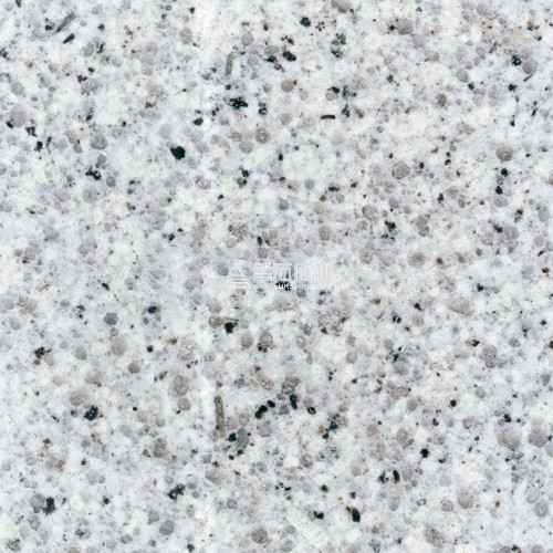 Caesar White|| 拉斯維加斯白麻