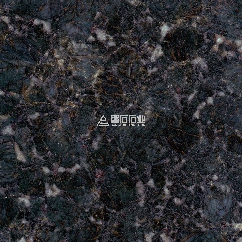 Butterfly Green|| 蝴蝶綠