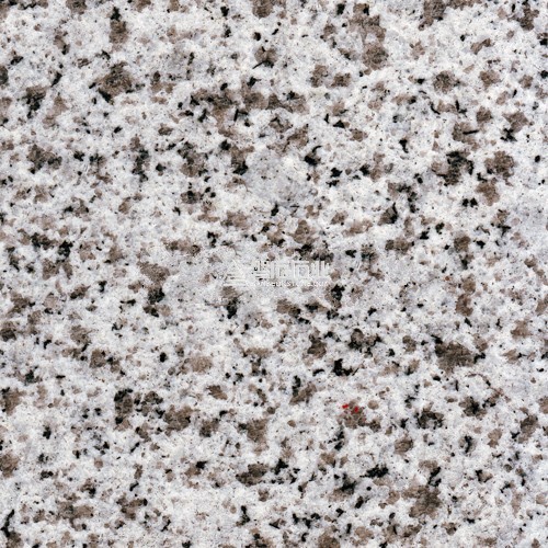 Guifei White || 貴妃白麻