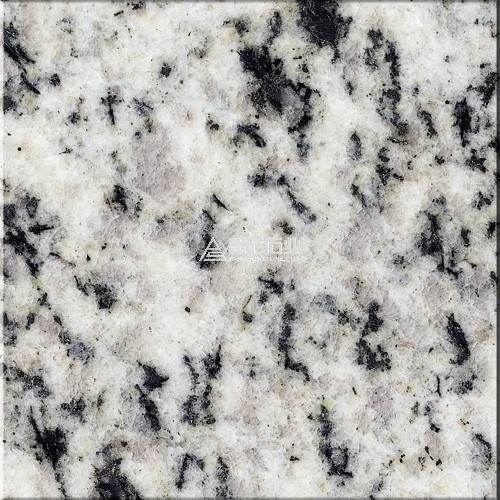 Bianco Halayb||英國白麻