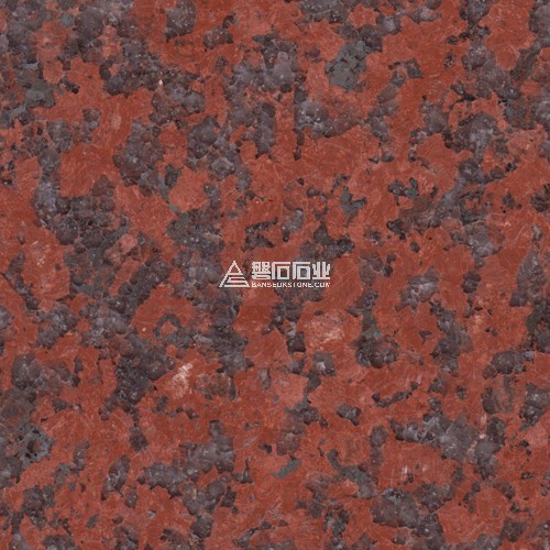 African Red|| 南非紅