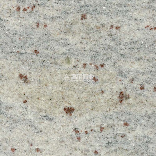 Kashmire White || 克什米爾白