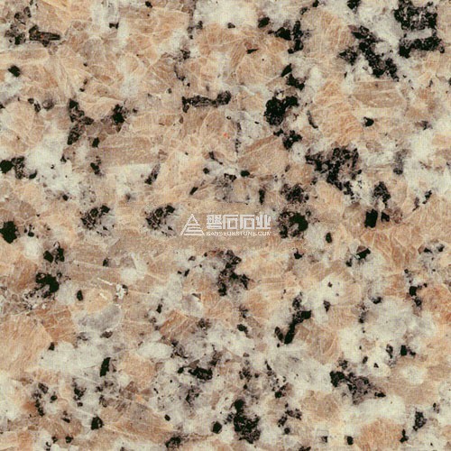 Casle Red ||三堡紅(G563)