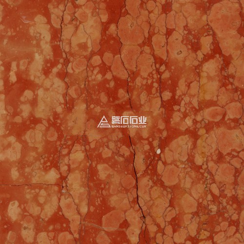 Rossa Verona ||萬壽紅