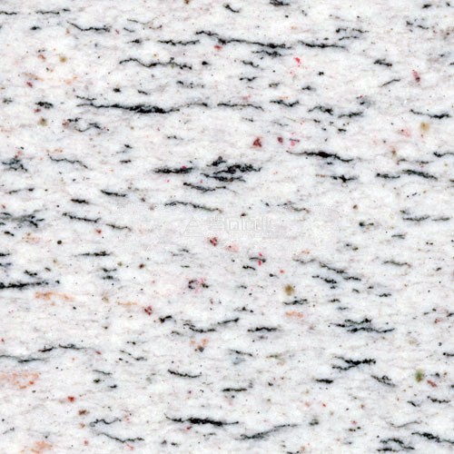 Bethel White|| 美國白麻