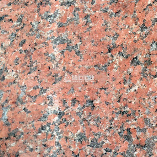 Peninsula Red|| 石島紅