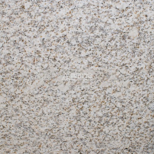 Thailand Golden Seasame|| 泰國金麻